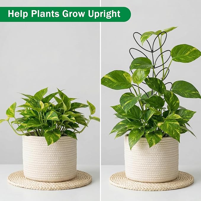 3 Pack Plant Trellis Indoor Small Metal Plant Support Stake for Indoor and Outdoor Plants Use, Leaf Shape Garden Stakes for Climbing and Potted Vine Ivy Flower Houseplant