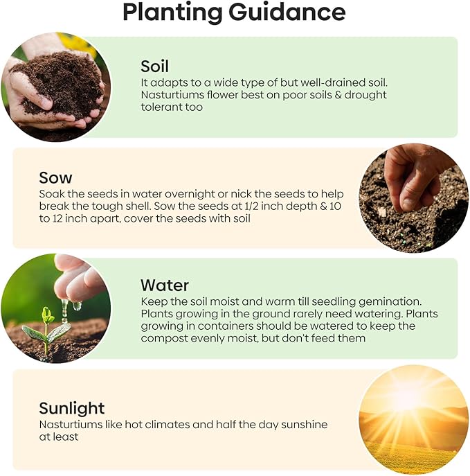 Groundio Nasturtium Seeds, 1 OZ, 3 Colors, Climbing Nasturtium, Edible Flower, Mixed Annual Flower Seeds for Planting Outdoors, Attract Poillinators (Orange, Red, Yellow)