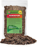 Gardenera Kalanchoe Plant Premium Potting Mix - Unleash The Full Potential of Your Plants with The Best Mix Available - 5 Quart