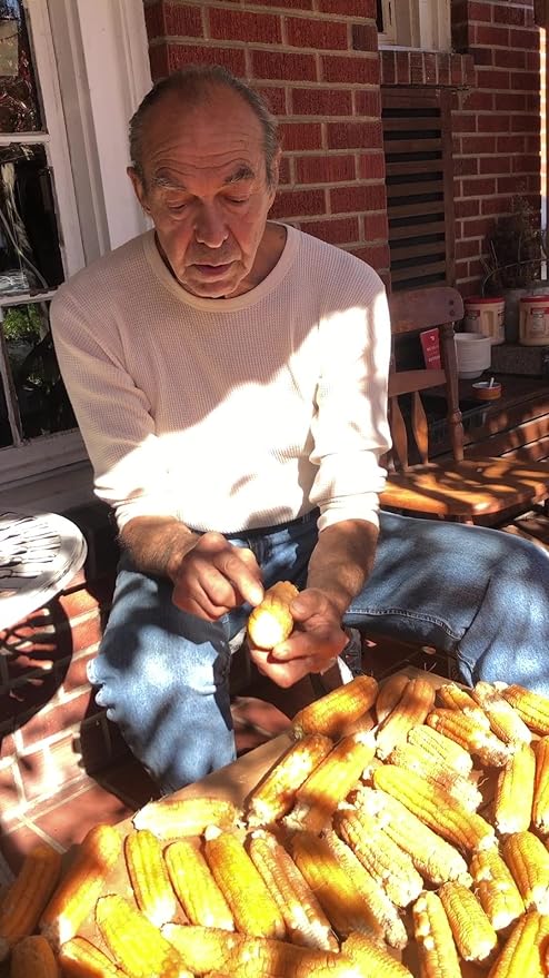 Organic Golden Bantam Sweet Corn Seeds (Zea mays) 100 Seeds (28 g) - Heirloom Sweet Corn Seeds for Planting by Smoke Camp Crafts