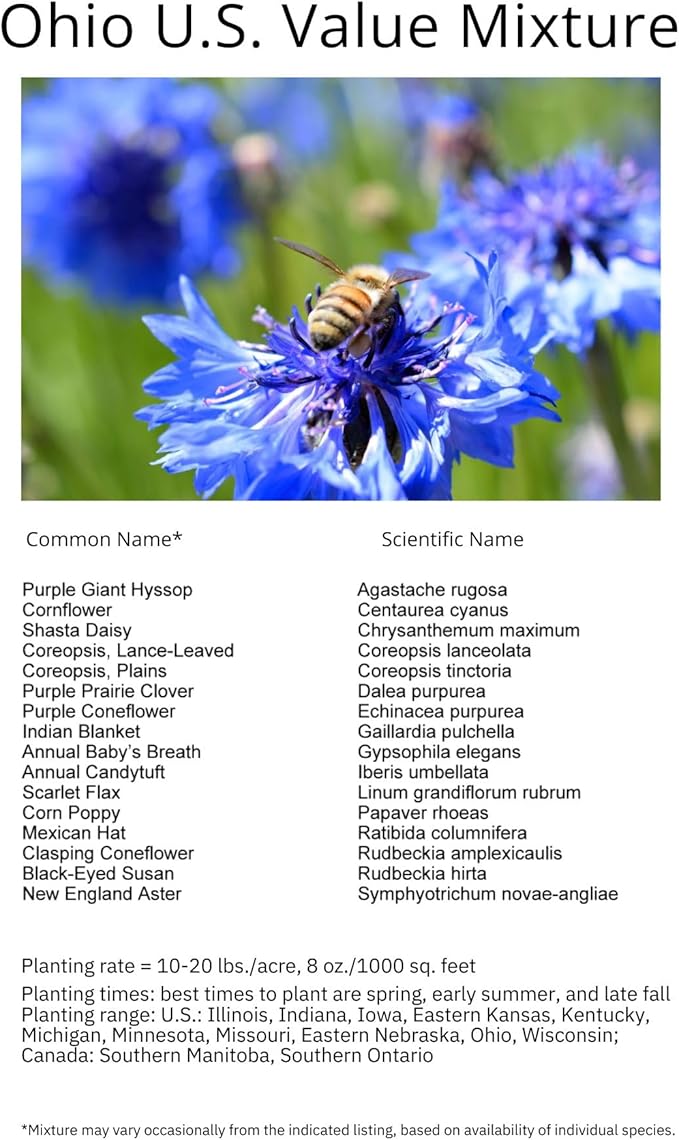 Ohio Bulk Perennial Wildflower Seed Mix 1lb Covers 2,000sq-ft - Attract Pollinators, Multi-Color Blooms - Midwest US Species Plant in Spring/Fall - Earth-Friendly Packaging (1/2 Pound)
