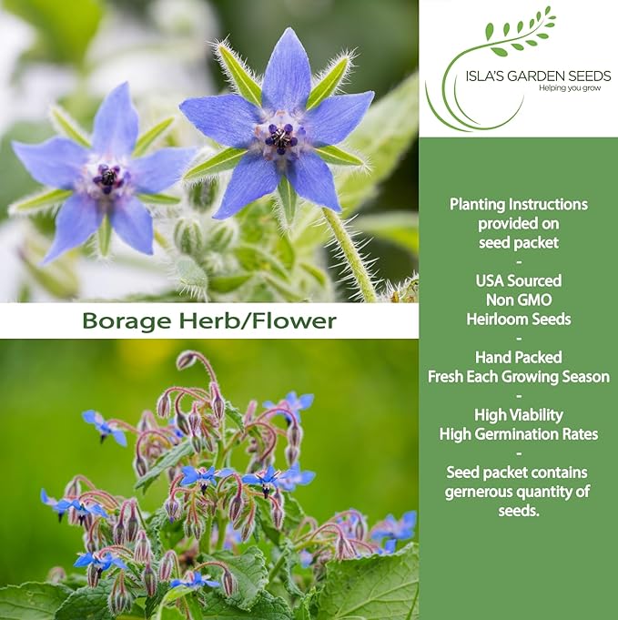 Borage Flower & Herb Seeds (Borago officinalis) – 125+ Non-GMO Heirloom Seeds by Isla’s Garden Seeds, Edible Blue Blossoms for Garnish & Herbal Tea, Pollinator-Friendly Annual, Easy to Grow, Gift Idea