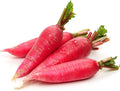Radish Seeds - Chinese - Shunkyo - 2 g Packet ~225 Seeds - Non-GMO, Heirloom - Asian Garden Vegetable & Microgreens