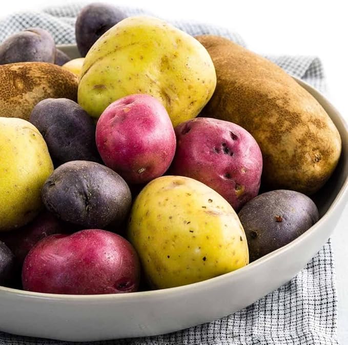 2 Lbs Mixed Potato Tubers High Yielding for Outdoor Planting,Vegetables Potatoes Plants Bulbs Seeds, Heirloom Seed Potato Live Tuber: Purple, Yellow, Red