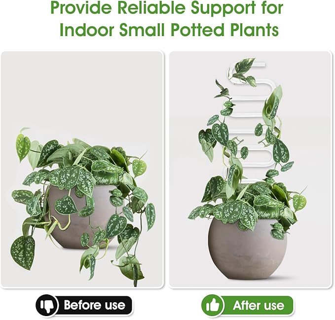 2 Pack Curvy Acrylic Trellis for Indoor Plants, Small Plant Trellis for Potted Plants, 13 Inch Plant Stakes for Indoor Plants, Clear Trellis for Climbing Plants Vine Ivy Hoya