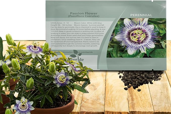 Outsidepride Passion Flower Seeds - 100 Pcs. Perennial, Fast-Growing & Pollinator Friendly, Flower Seeds for Planting Tall, Fragrant & Vibrant Star-Shaped Blooms for Trellises, Fences & Arbors