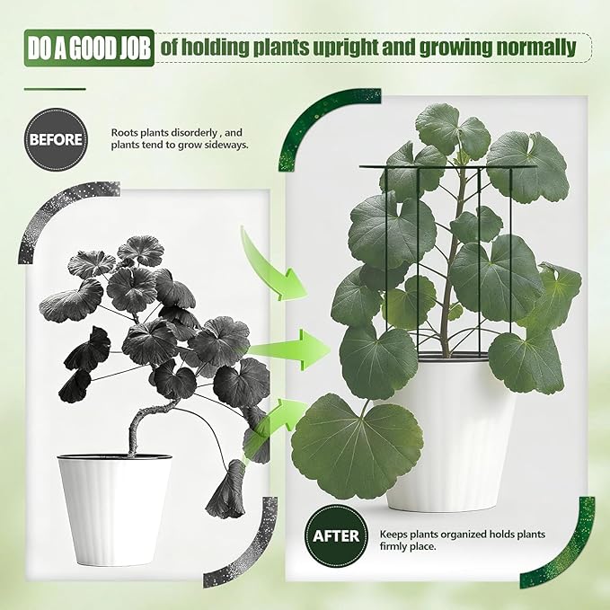 6 Pack with 11.8-in*19.7-in Half Round Plant Support Stakes, Metal Garden Plant Ring Supports for Peonies, Tomatoes, Hydrangeas, Prevent Plants from Falling Over