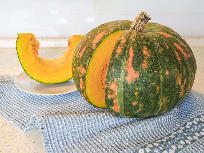 Seeds Pumpkin Muscat Striped Vitamin Big Decorative Ornamental Unique Giant Garden Vegetable for Planting Non GMO