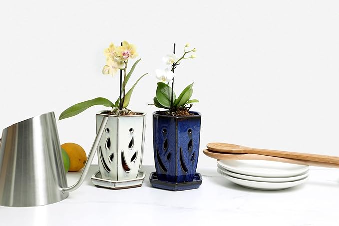 rePotme 4 x 6 inch Ceramic Orchid Pot (Cream Over Cotton Candy) - Hexagon Orchid Pot with Holes