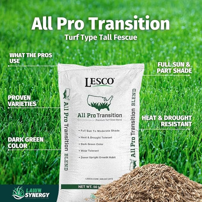Lesco All-Pro Transition Tall Fescue Grass Seed Blend – (10 lbs) **Non-Returnable** Drought-Tolerant, Heat & Shade Resistant, Insect-Resistant Lawn Seed for Durable Turf