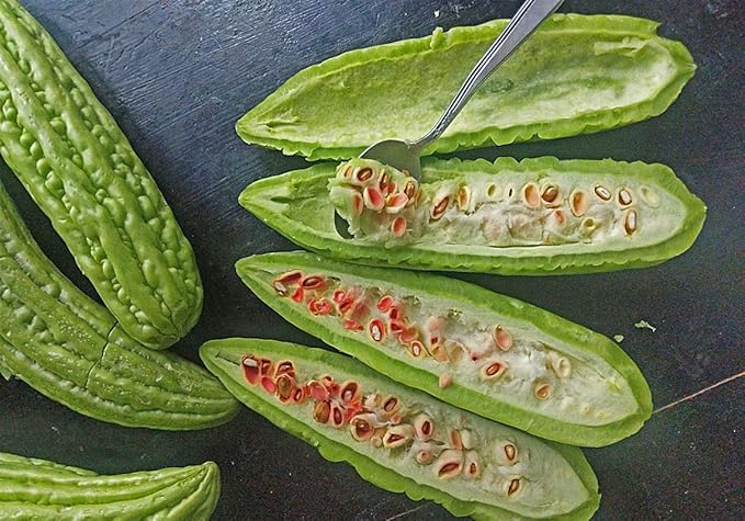 Gaea's Blessing Seeds - Bitter Melon Seeds - Bitter Gourd Heirloom Non-GMO Bittermelon Seeds with Easy to Follow Planting Instructions - 92% Germination Rate (Pack of 2)
