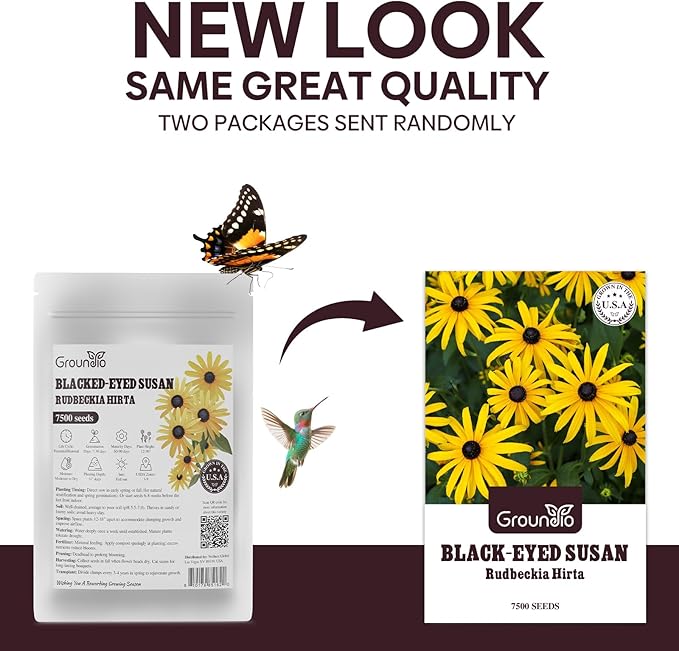 Black Eyed Susan Seeds, Perennial Rudbeckia Hirta Yellow Flower for Attract Pollinators, Non-GMO, Heirloom Wildflowers Seeds, USDA Zone 3-9, 2g