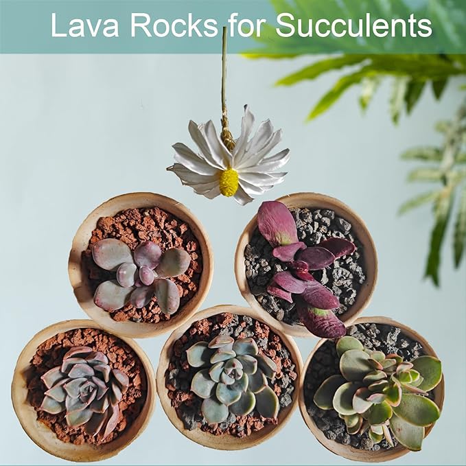 Lava Rocks for Plants, 2lbs Volcanic Stones Gravel Horticultural Drainage Potting Soil for Indoor Outdoor Plants, Succulents, Bonsai, Cactus, Vase Fillers, Top Dressing (Red, 2lbs)