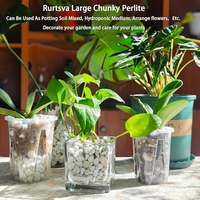 Natural 1-2CM Hard Chunky Perlite 10QT for Plants Horticultural Coarse Organic Pearlite Bulk Potting Mix Garden Soil Amendment for Enhanced Drainage and Ventilation for Orchid, Dendrobium, Araceae