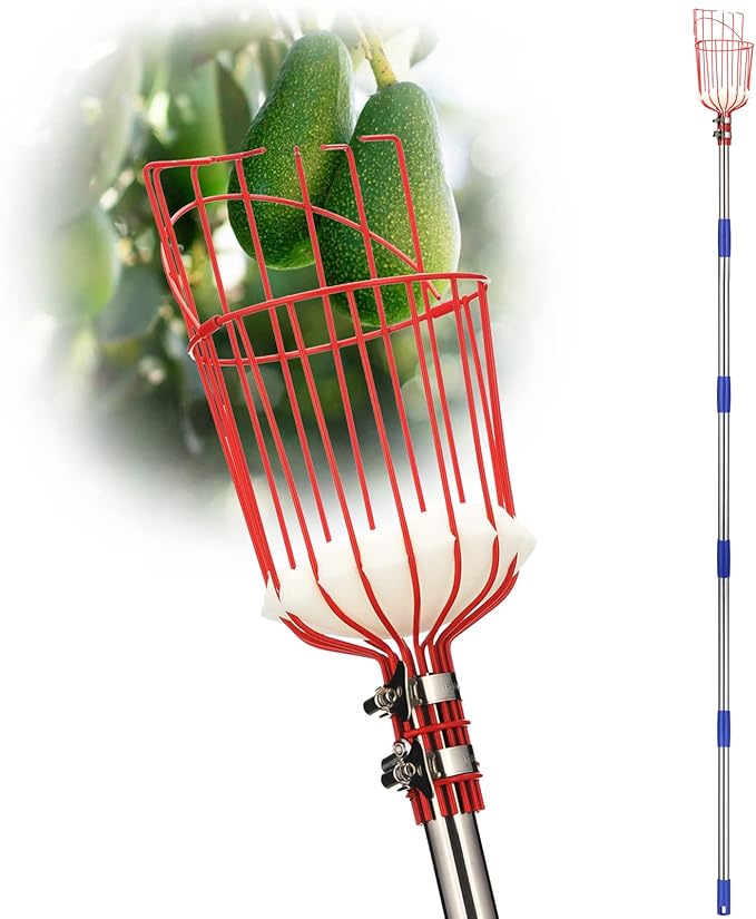 DonSail Fruit Picker Pole Tool with Basket Long Handle, 35-65 Inch Adjustable Apple Orange Picker Pole Tool with Basket for Avocado Acorn Lemon Pear Mango Tree Picker
