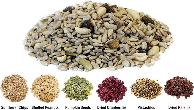 CountryMax Backyard Seeds No Mess, No Waste Mix with Fruit Frenzy Blend - Hulled Pumpkin Seeds, Cherry Flavored Cranberries, Pistachios, Dark Raisins - Bird Seed (5 Pounds)