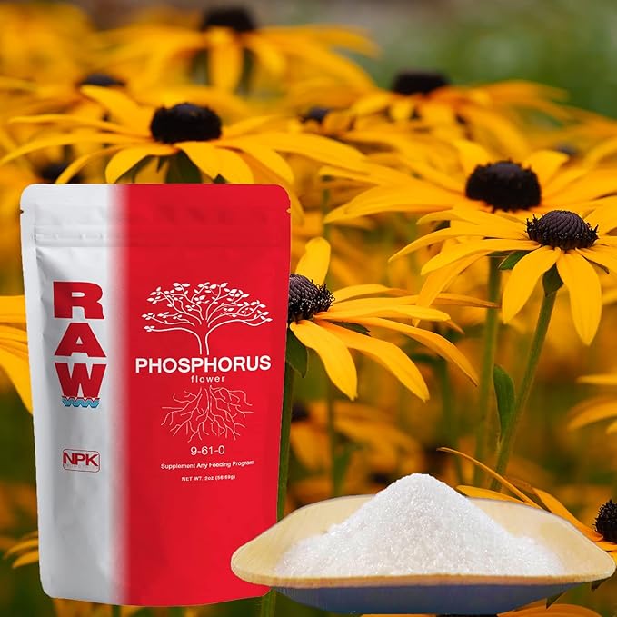 RAW Phosphorus 8 oz