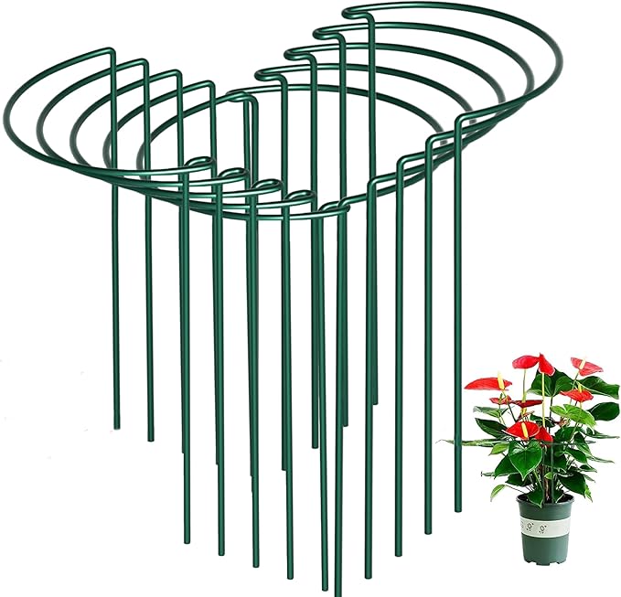 10 Pack Plant Support Stakes 16 Inch Plant Stakes for Outdoor and Indoor Plants,Peony Cages and Supports Plant Stem Support Flower Metal Stakes for Gardening Peonies Support Cages for Plants