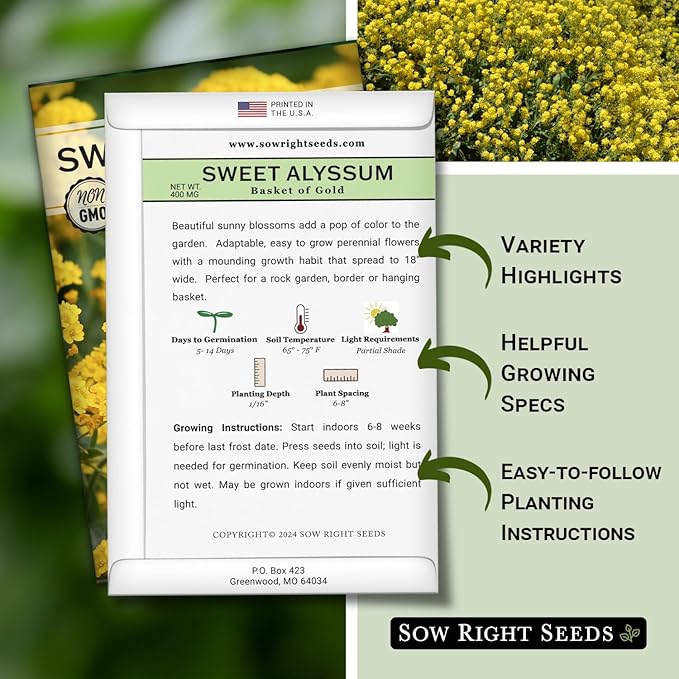 Sow Right Seeds - Sweet Alyssum Basket of Gold Flower Seeds for Planting - Perennial Garden Flowers - Easy to Grow Fragrant Blooms - Ideal for Borders and Containers - Attract Pollinators (2)