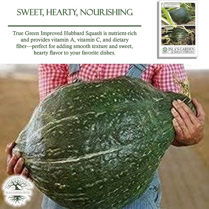 True Green Improved Hubbard Squash Seeds (Cucurbita Maxima) – 25 Heirloom Non-GMO Seeds by Isla’s Garden Seeds, Ideal for Planting, Excellent for Home Gardens, Perfect Gardening Gift