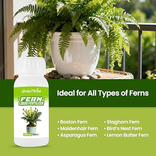 Fern Liquid Fertilizer – Natural Organic Plant Food for Ferns, Indoor & Outdoor Use, 10 Oz Concentrated Probiotic Formula for Greener Leaves, Strong Roots & Healthy Growth
