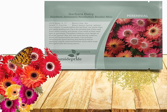Outsidepride Bicolor Mix Gerbera Seeds - 20 Pcs Perennial, Compact & Low Maintenance, Flower Seeds for Planting w/Vibrant Mixed Blooms, Ideal for Garden Landscaping & Cut Flower Arrangements