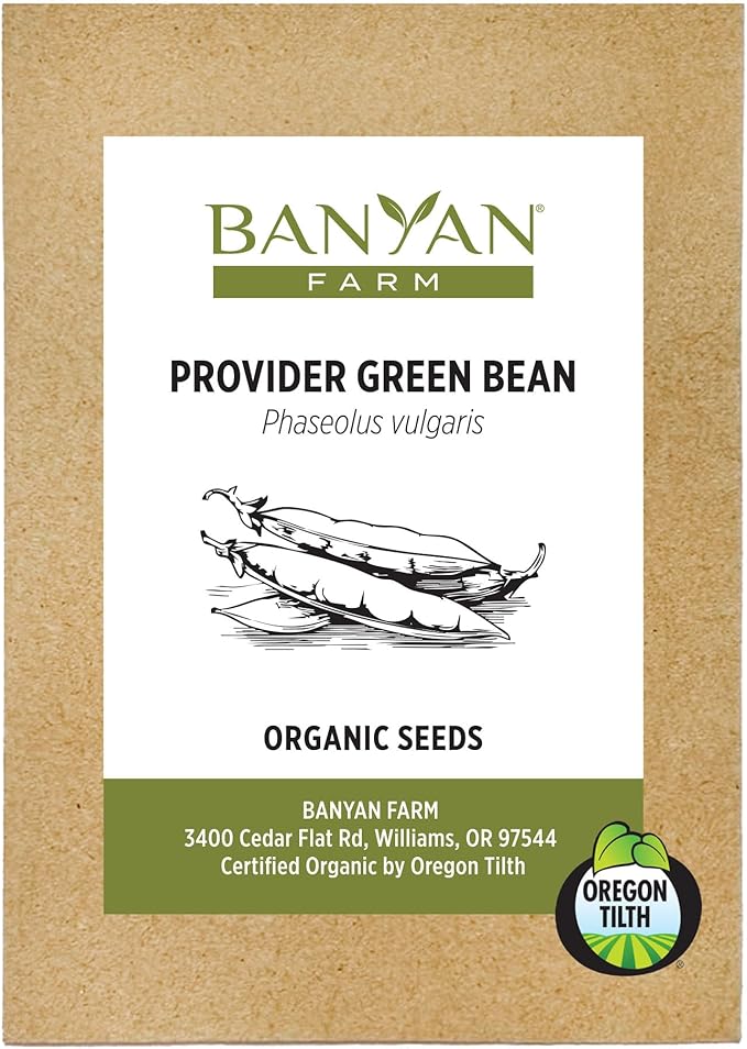 Banyan Botanicals Organic Green Bean Seeds – Provider Heirloom Green Bean Seeds – Early-Producing, Tender, and Crisp – 100 Count – Open Pollinated Non-GMO Easy to Grow