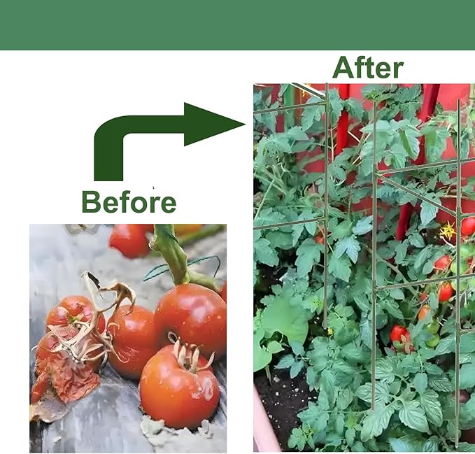 Cucumber Trellis for Plant Climbing- Cucumebr Arch Trelli for Flower Vine Vegetable Tomato Cage Raised Bed- Foldable Garden Tunnel Trellis