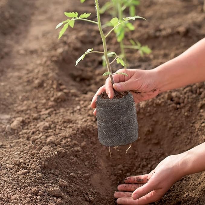 ZeeDix 100 Pcs (50mm) Peat Pellet Fiber Soil Plant Seed Starters - Plugs Pallet Seedling Soil Block, Seed Fertilizer Nutrient Block Compressed Peat Block for Grow Herbs, Plant,Flowers and Vegetables