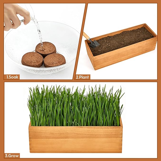 MEESS RCLH Wooden Cat Grass Planter,Cat Grass Kit for Indoor Cats with Anti-Digging Grid, Potting Soil Disks,Watering Bottle and Removable Plastic Liner,Wheat Grass Growing Pot