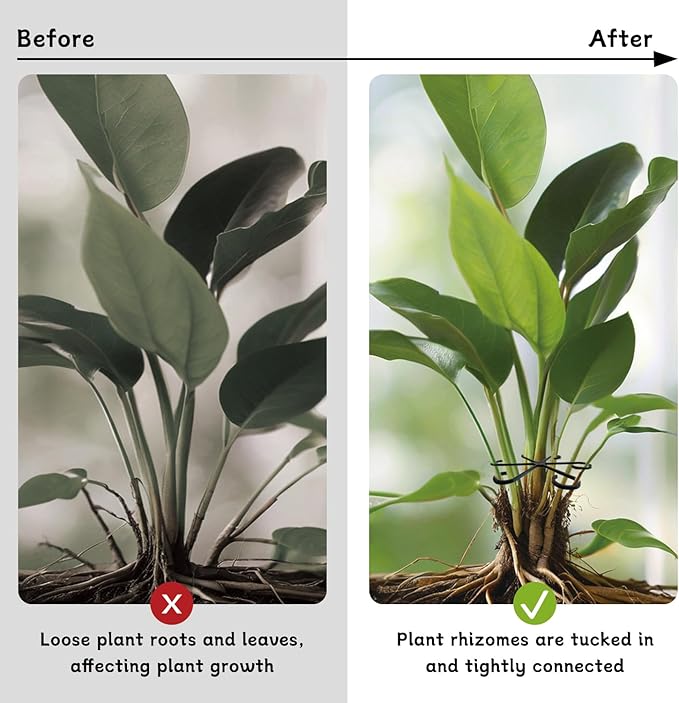 4 Pcs Plant Stem Support Reusable Plant Growth Accessories, Different Sizes Climbing Plant Stakes for Indoor Plants to Decorative (Black)