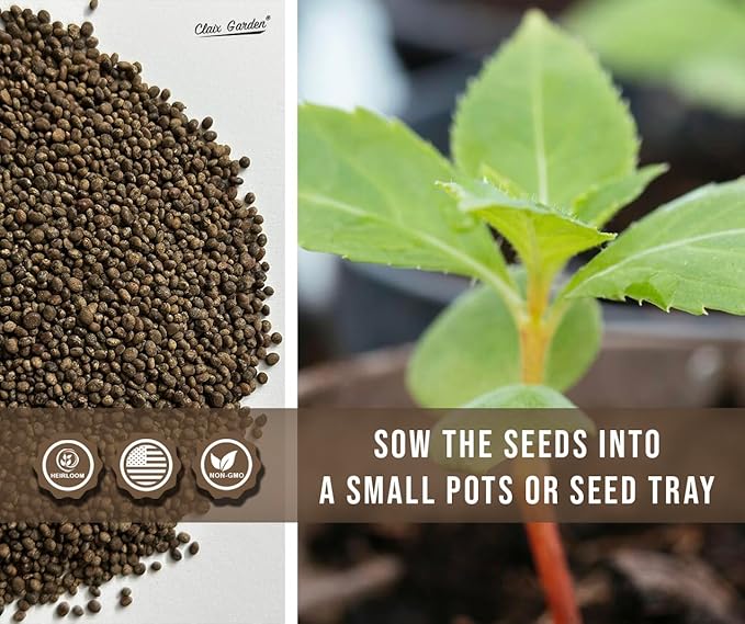 Camilia Flowered Balsam Mix - Impatiens Balsamina - 750 Seeds - Bright Mix Colors, Heirloom, Non-GMO, USA Grown, Excellent for Pollinators, Annual