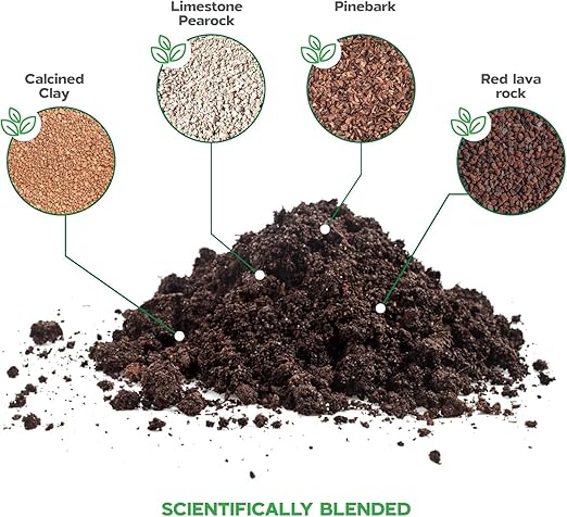 Bonsai Soil Mix Ready to use Tree kit Lotus Seeds for Planting in Water Bonsai pots Wire Tree pots akadama Soil 2 oz Bag of Fertilizer Pellets Inside 2.4 Qts