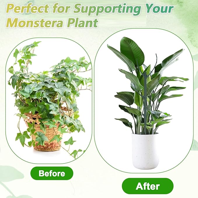 5Pcs Stackable Plant Support Stake Stem Holder Structures Frame & Plant Cage Support Ring Half Round for Sphagnum Twig Trellis Indoor Outdoor Potted Plants Stick for Vine Training & Stem Stabilization