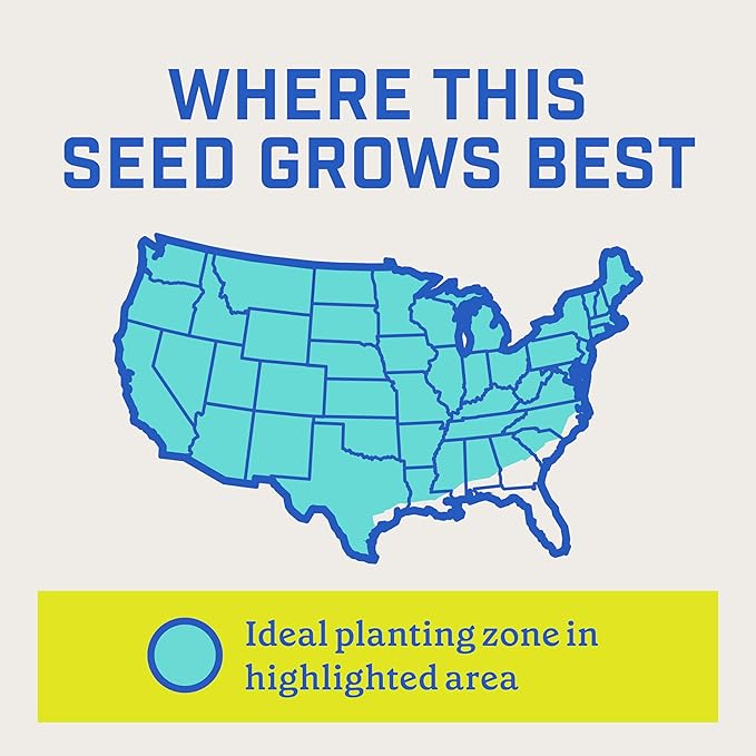 Pennington Smart Seed Clover and Grass Mix 7 lb (Pack of 2)