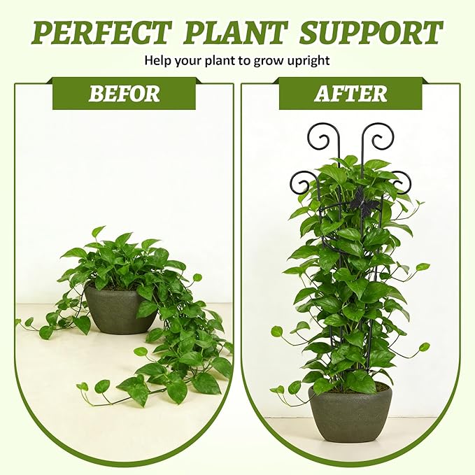 Plant Trellis 2 Pack Plant Trellis Indoor 29.96 in Expandable Metal Garden Trellis for Climbing Plants Sturdy Houseplant Support for Potted Plants with Ties Support for Ivy Pothos Hoya