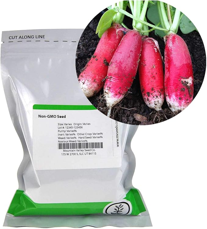 China Rose Radish Sprouting Seeds: 1 Lb - Bulk, Non-GMO Radish Seeds for Micro Greens, Vegetable Garden