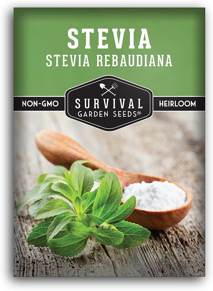 Stevia Seeds for Planting - Natural Sweet Herb Stevia rebaudiana with Sweet Leaves, Tender Perennial for Warm Climates or Indoor Growing, Non-GMO Heirloom - Survival Garden Seeds