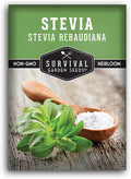 Stevia Seeds for Planting - Natural Sweet Herb Stevia rebaudiana with Sweet Leaves, Tender Perennial for Warm Climates or Indoor Growing, Non-GMO Heirloom - Survival Garden Seeds