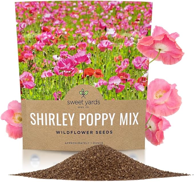 Shirley Poppy Seeds – Mixed Colors – Extra Large Packet – Over 200,000 Open Pollinated Non-GMO Wildflower Seeds – Papaver rhoeas
