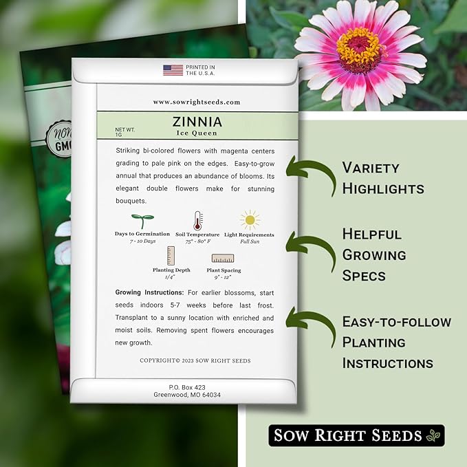 Sow Right Seeds - Zinnia Ice Queen Flower Seeds for Planting - Beautiful Flowers to Plant in Your Garden - Non-GMO Heirloom Seeds - Pink with White Tips Variety - Attract Pollinators - Cut Flower (3)