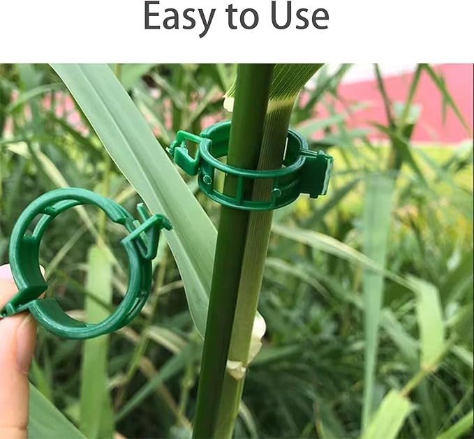 Plant Support Clips for Climbing Plants, Garden, Tomato Vines, Grape and Vine Vegetables, Plastic Plant Fixing Clips (50)