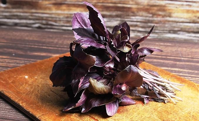 SeedsUP - 300+ Seeds Purple Basil Indoor Ornamental - Herb