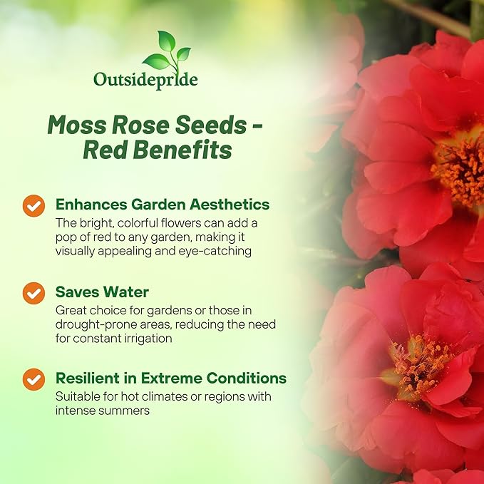 Outsidepride Red Moss Rose Seeds - 10000 Pcs Annual, Drought & Heat Tolerant, Pollinator Friendly Ground Cover Seeds for Planting w/Vibrant Blooms & Succulent Foliage, Ideal for Xeriscaping