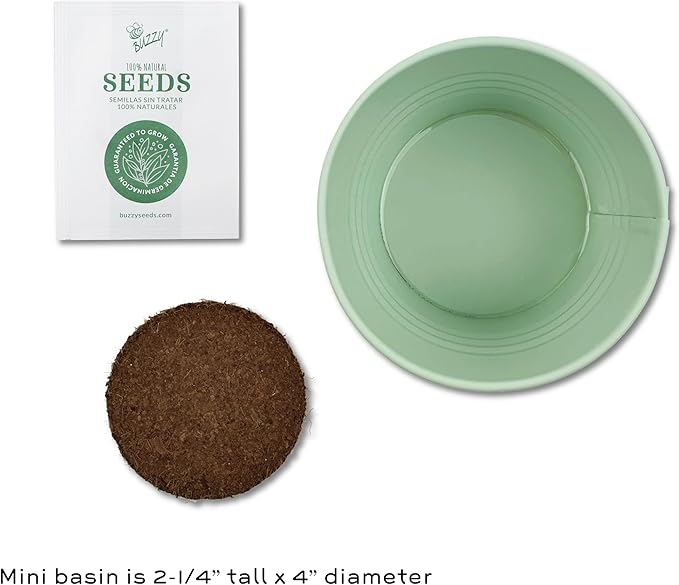 BUZZY Seeds Sage Green Painted Basin Strawberry Grow Kit, Indoor Fruit Plant Starter, Fun DIY Gardening Gift, Grow Your Own Snack, Party Favor or Valentine Gift