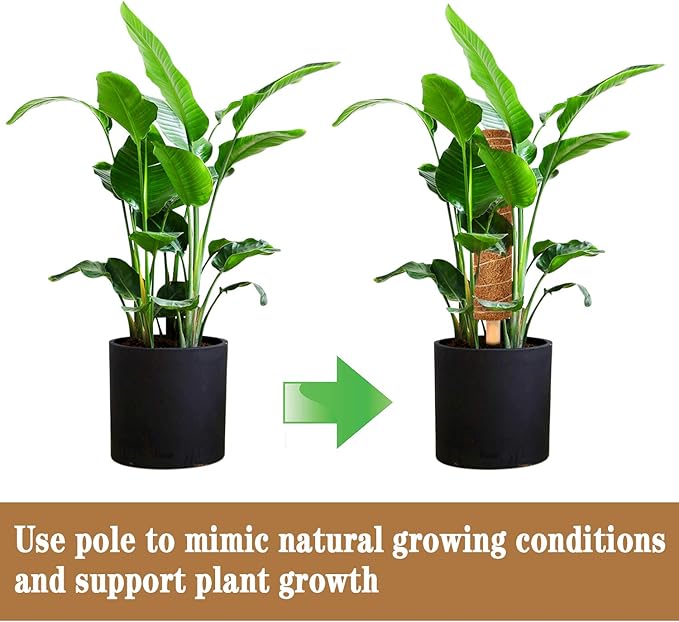 2 Pcs 12 Inches Coir Moss Poles for Climbing Plants with 4 Pcs Adjustable Plant Twist Ties - Coir Moss Totem Stick for Creepers Plant Support Extension, Climbing Indoor Plants(Total 20 Inch)
