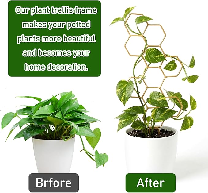 Plant Trellis Indoor, Trellis for Climbing Plants, Hanging Planters for Planting Houseplant Plant Wall, Honeycomb Pothos Planting Climber Support for Flower Indoor Plants Supports(Gold)