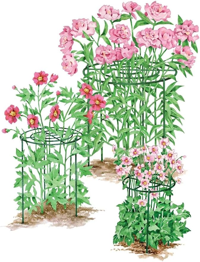Gardener's Supply Company Grow Through Plant Support | Sturdy Metal Plants Support Frame for Peonies and Other Flopping Flowers | 30" H X 24" D (Set of 3) - Large