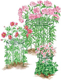 Gardener's Supply Company Grow Through Plant Support | Sturdy Metal Support Frame for Peonies, Roses Flower Garden Cage | Wide Top Rings Bouquet Shape |18" D X 24" H (Set of 3)