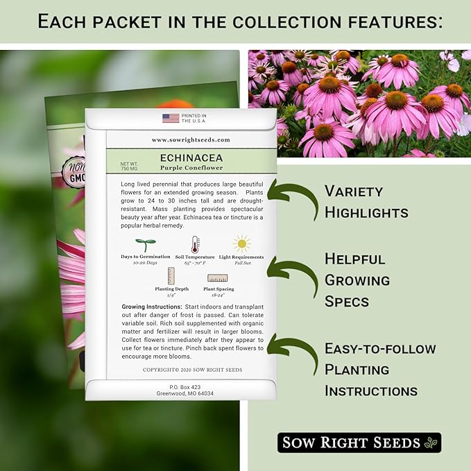 Sow Right Seeds - Perennial Three Flower Garden Seed Collection for Planting - Black-Eyed Susan, Shasta Daisy, Purple Coneflower - Non-GMO Heirloom Packets Home Gardening - Attract Local Pollinators